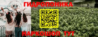 ПСИЛОЦИБИНОВЫЕ ГРИБЫ Пугачёв